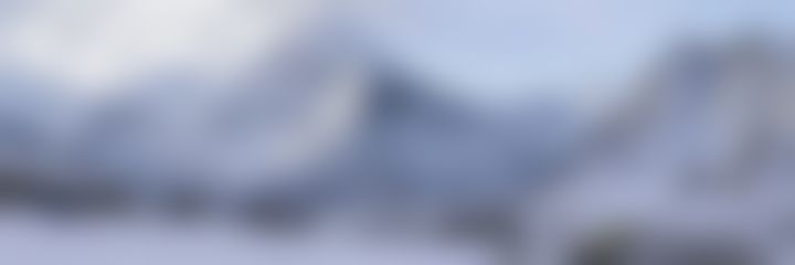 Blurred preview of the photo